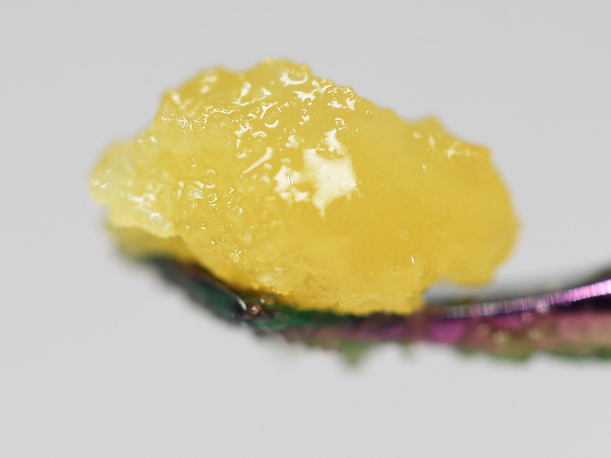 gelato dream close up.jpg gelato dream close up.jpg