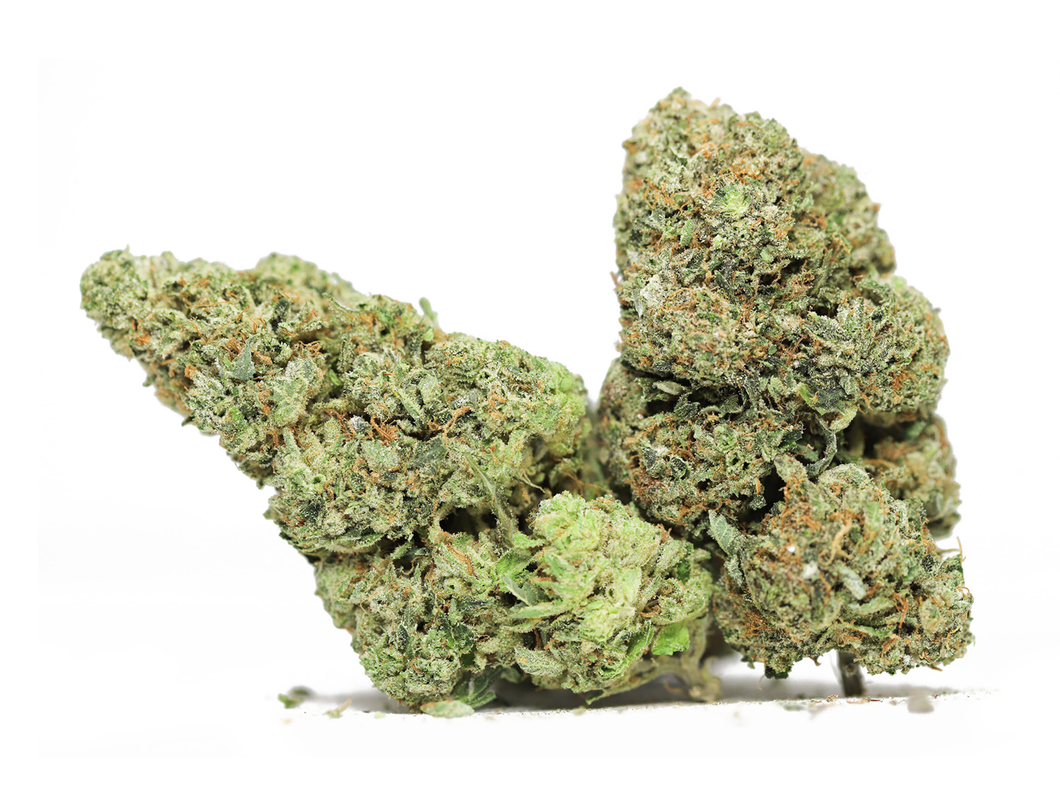 ghost og AA .jpg ghost og AA .jpg