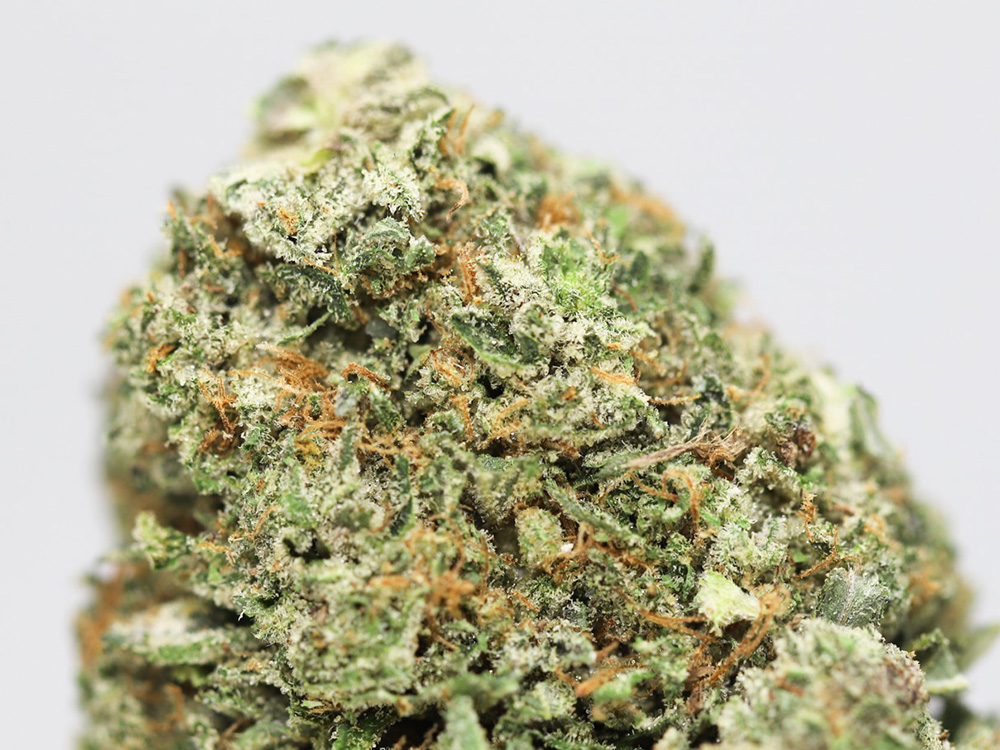 ghost og close up.jpg ghost og close up.jpg
