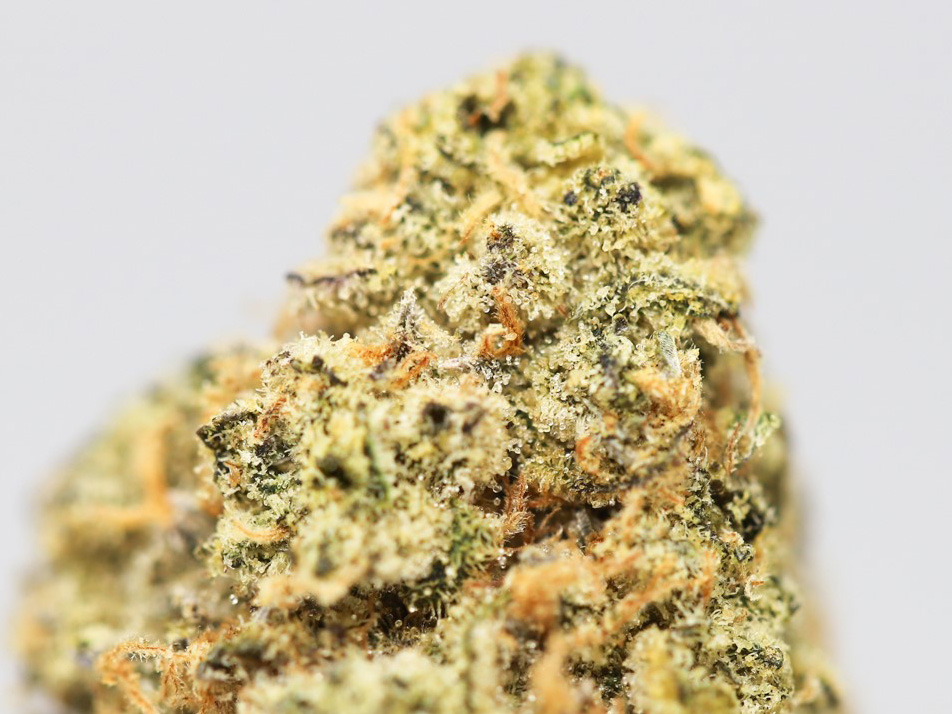 girl scout cookies close up 2.jpg girl scout cookies close up 2.jpg