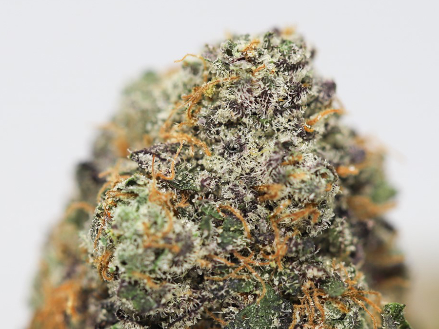 god s green crack close up 2.jpg god s green crack close up 2.jpg