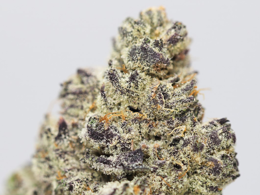 granddaddy purple x blackberry close up.jpg granddaddy purple x blackberry close up.jpg
