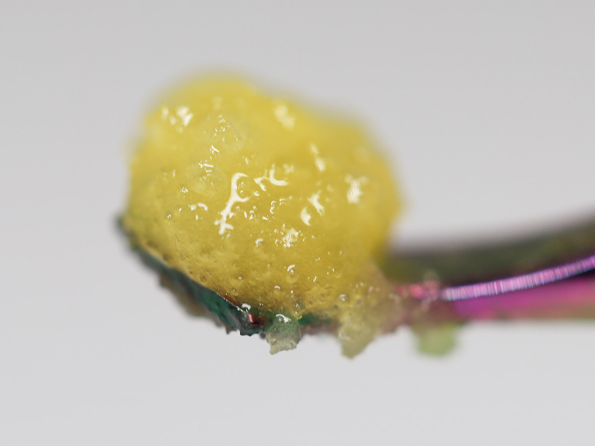 green crack close.jpg green crack close.jpg