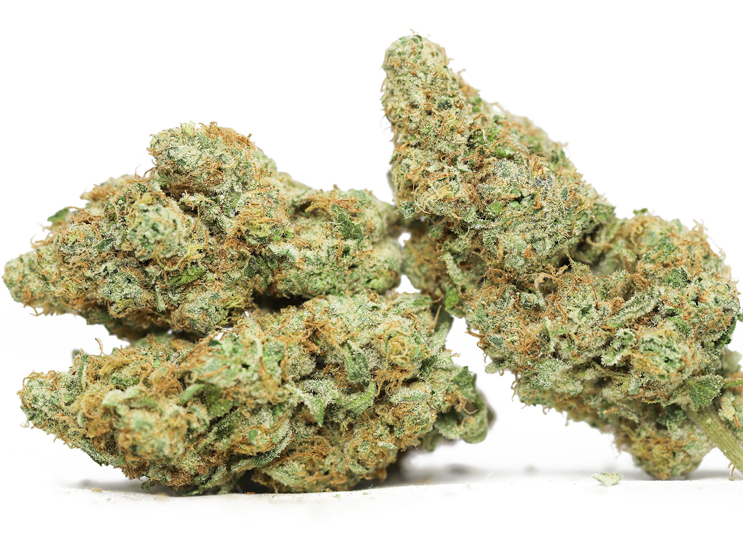 green goblin aaa restock.jpg green goblin aaa restock.jpg