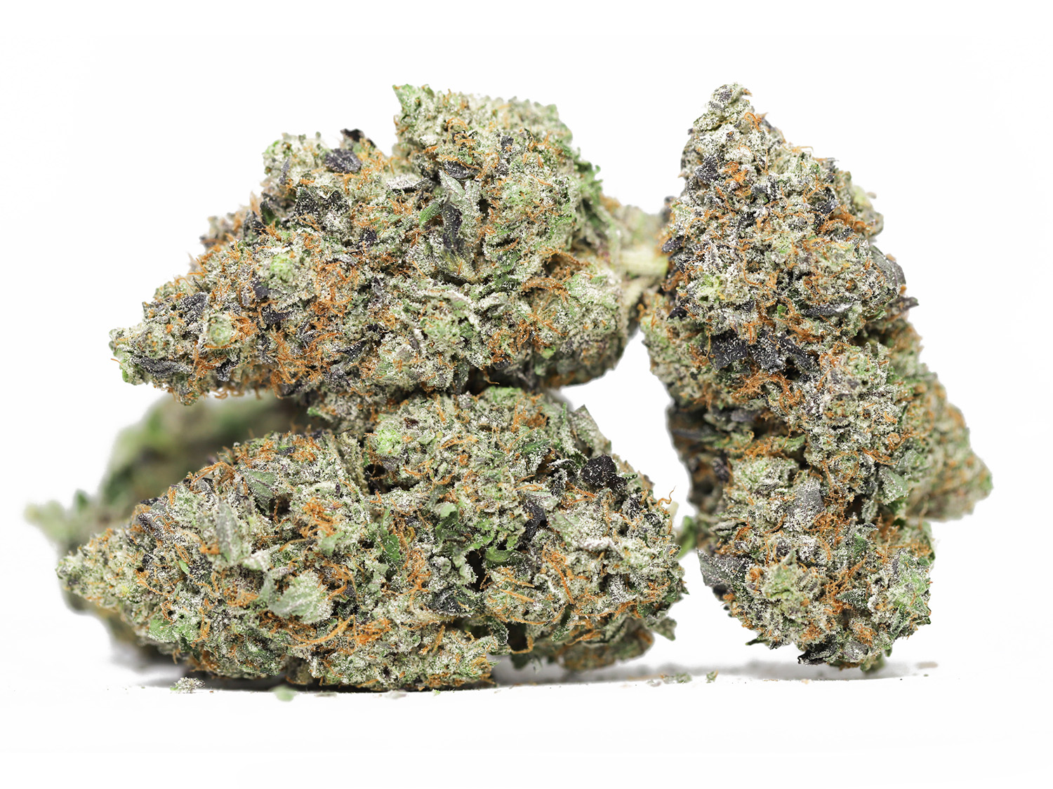 hindu kush aaaa.jpg hindu kush aaaa.jpg