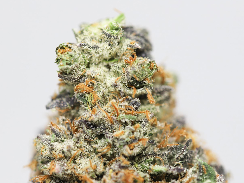 hindu kush close up.jpg hindu kush close up.jpg