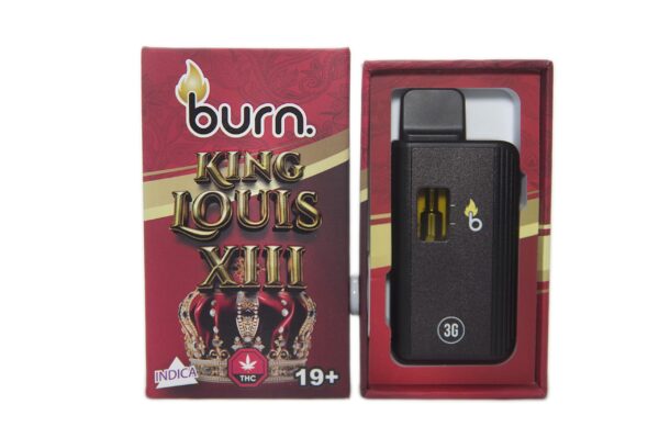 king louis front scaled 1 600x399 1.jpg king louis front scaled 1 600x399 1.jpg