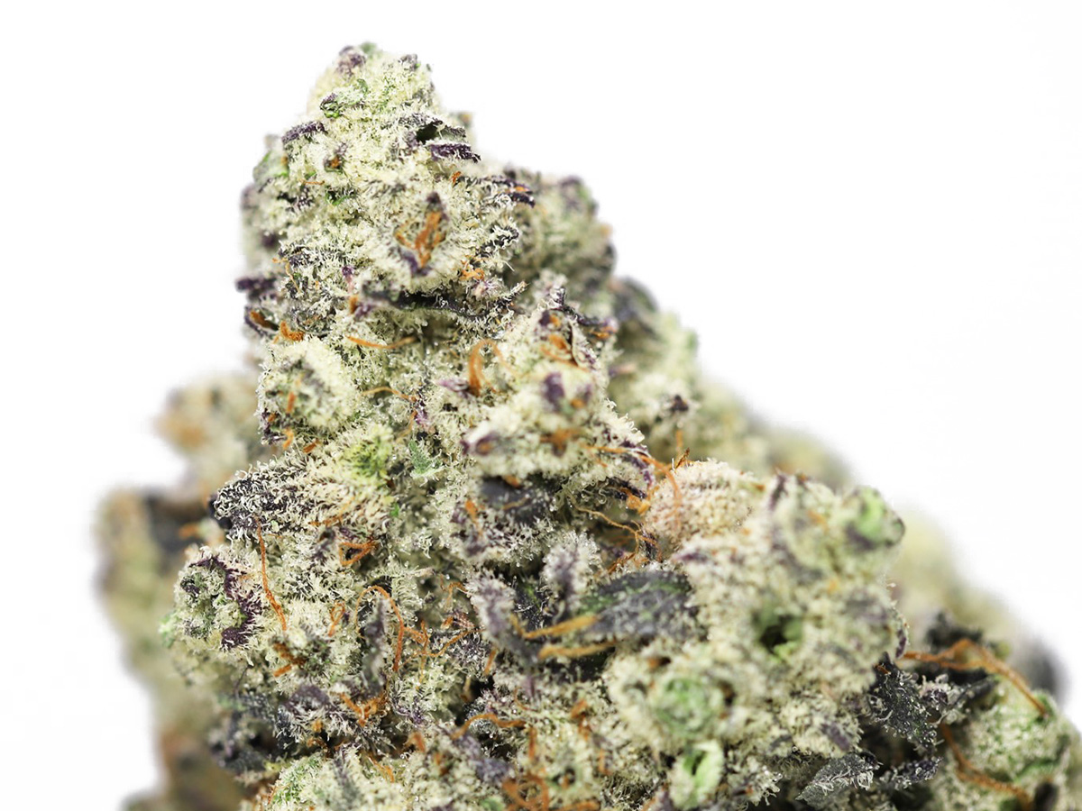 krft mint chocolate chip close up.jpg krft mint chocolate chip close up.jpg