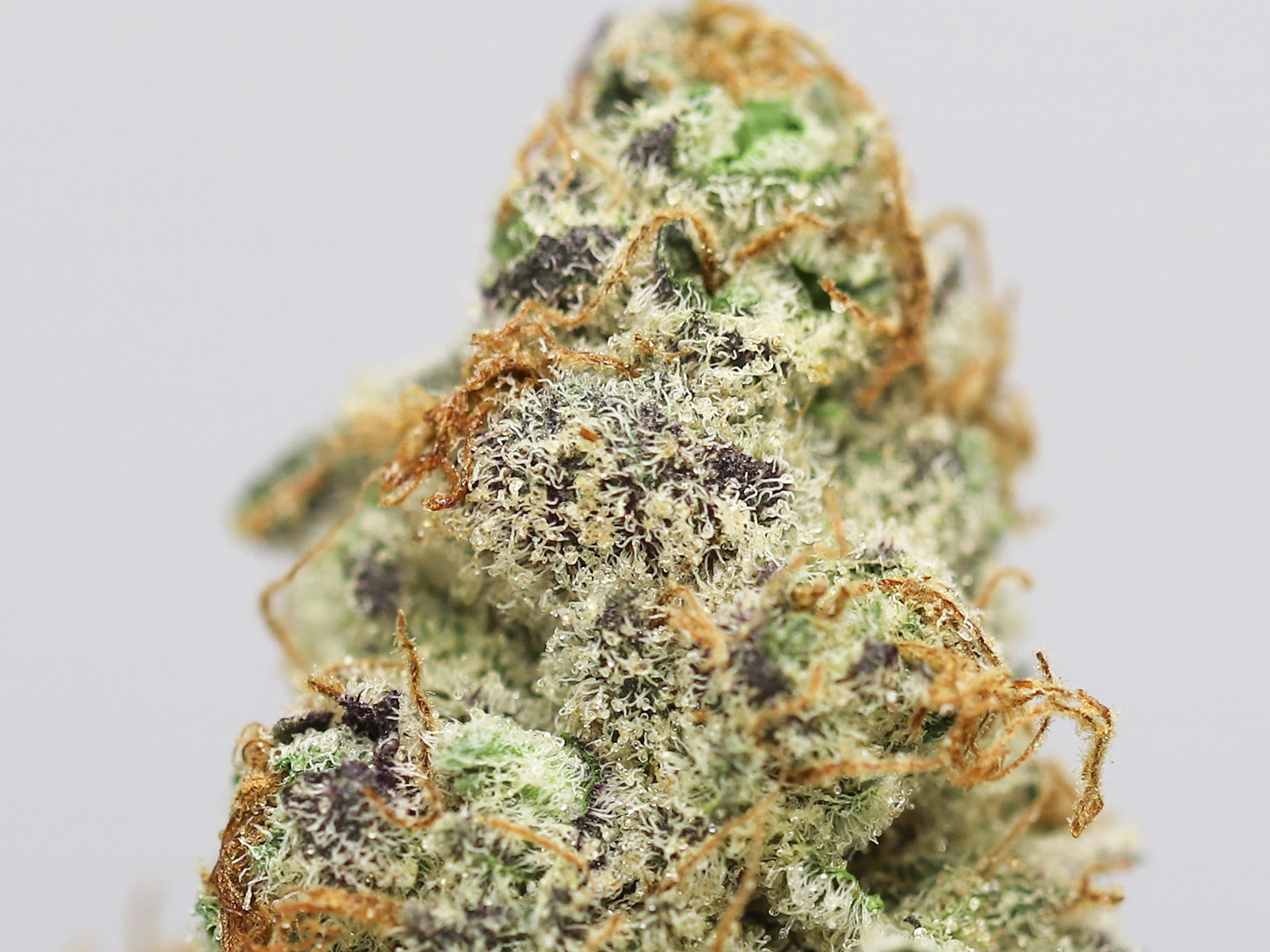 krft mrkt chem berry D close up.jpg krft mrkt chem berry D close up.jpg