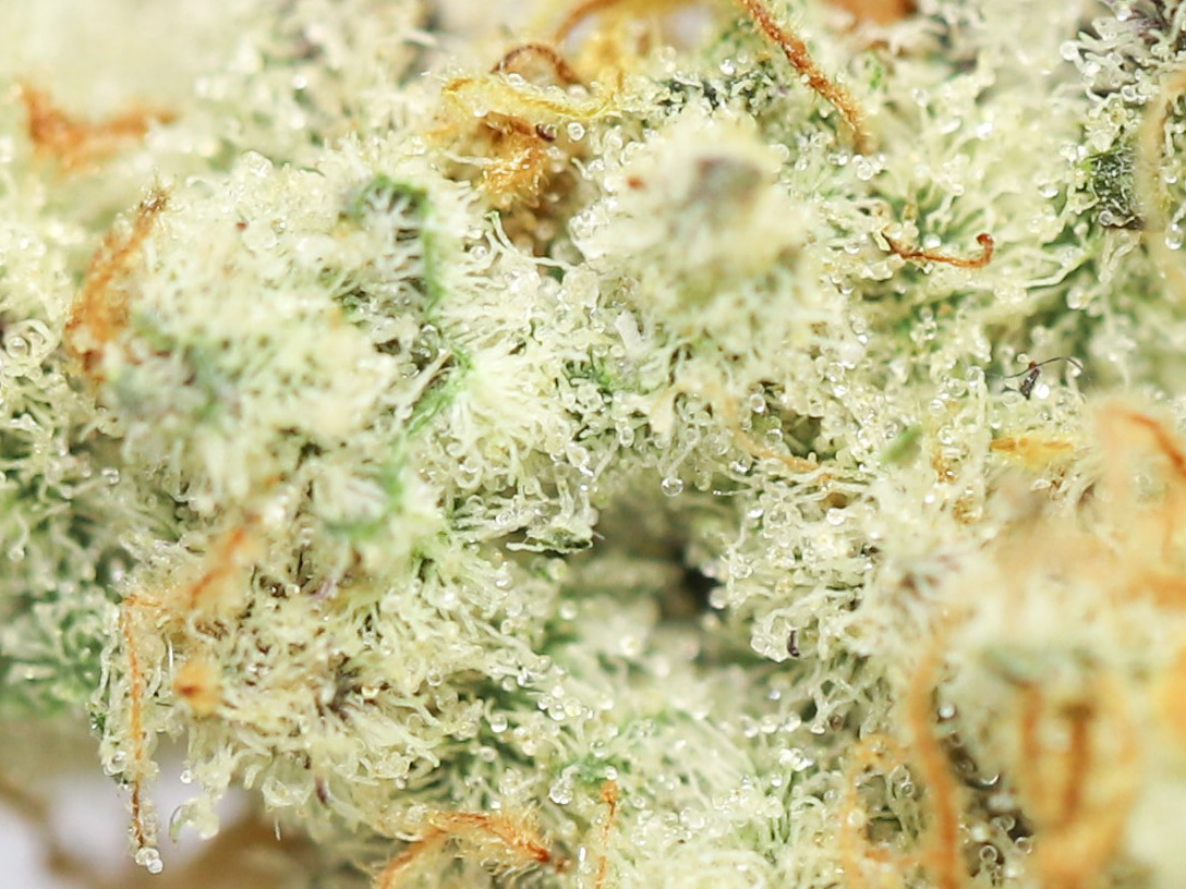 krft mrkt mac 10 close up.jpg krft mrkt mac 10 close up.jpg