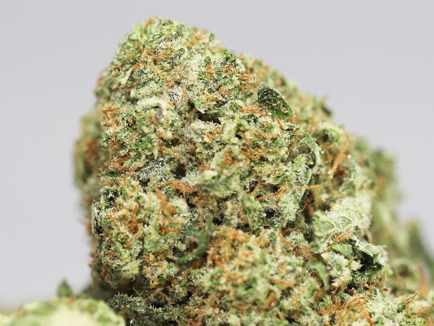 kush mints close up.jpg kush mints close up.jpg