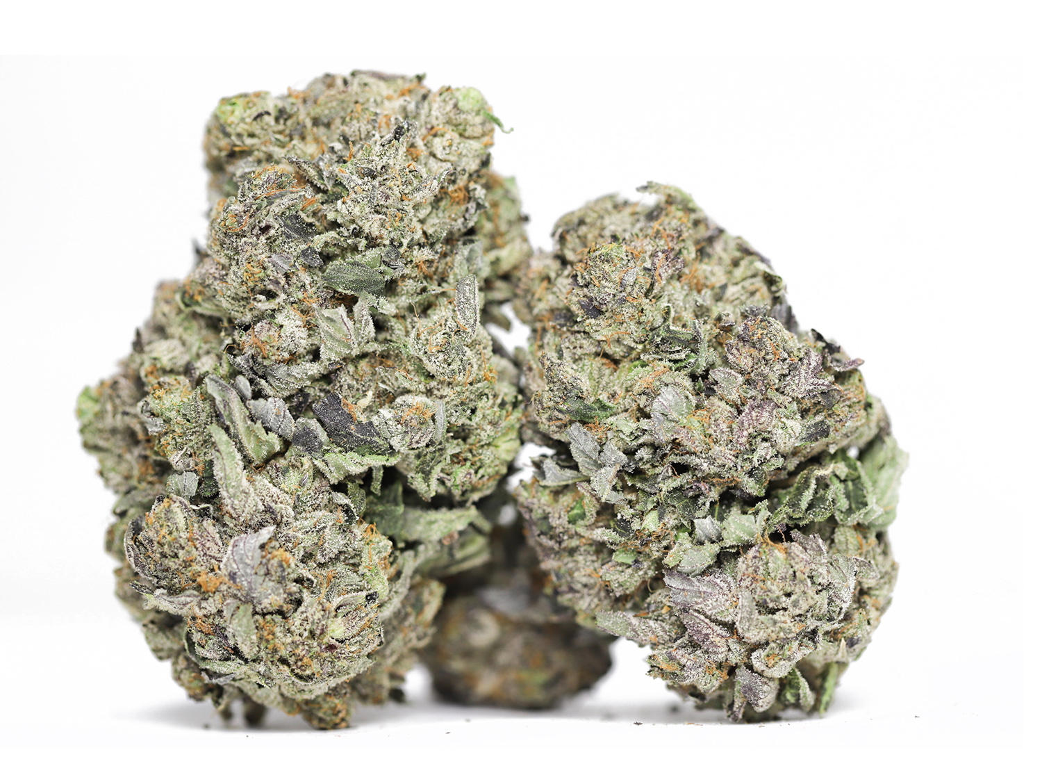 mike tyson og AAAA restock 1.jpg mike tyson og AAAA restock 1.jpg