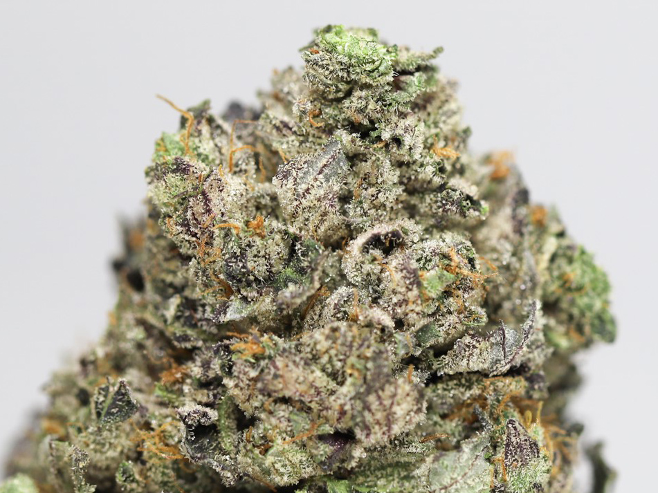 mike tyson og restock.jpg mike tyson og restock.jpg