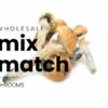 mix match shrooms 1.jpg