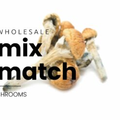 mix match shrooms 1.jpg
