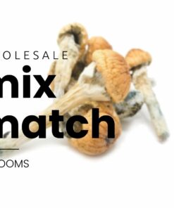 mix match shrooms 1.jpg