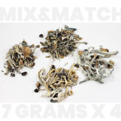 mix match shrooms.jpg
