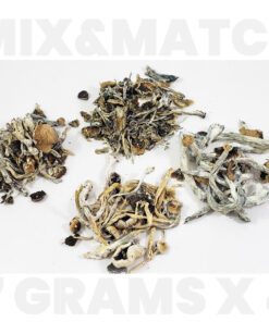 mix match shrooms.jpg