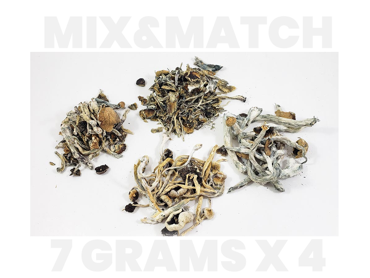 mix match shrooms.jpg mix match shrooms.jpg