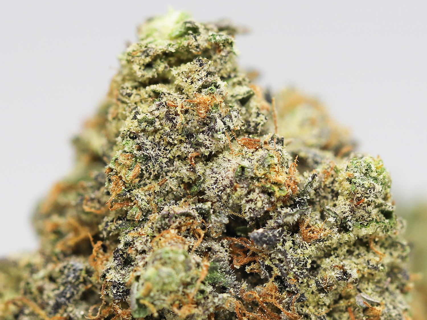 northern wreck aa restock.jpg northern wreck aa restock.jpg