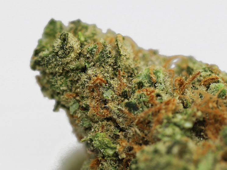 oj kush aaaa close up.jpg oj kush aaaa close up.jpg