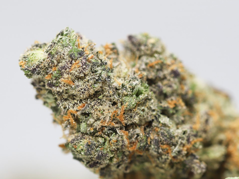 orange valley og close up.jpg orange valley og close up.jpg