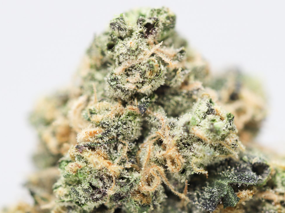 peanut butter breath close uop.jpg peanut butter breath close uop.jpg
