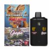 Burn Dual Chamber Disposable Vape – Peanut Butter Breath + Grape 6G 1 peanut grape front scaled 1.jpg