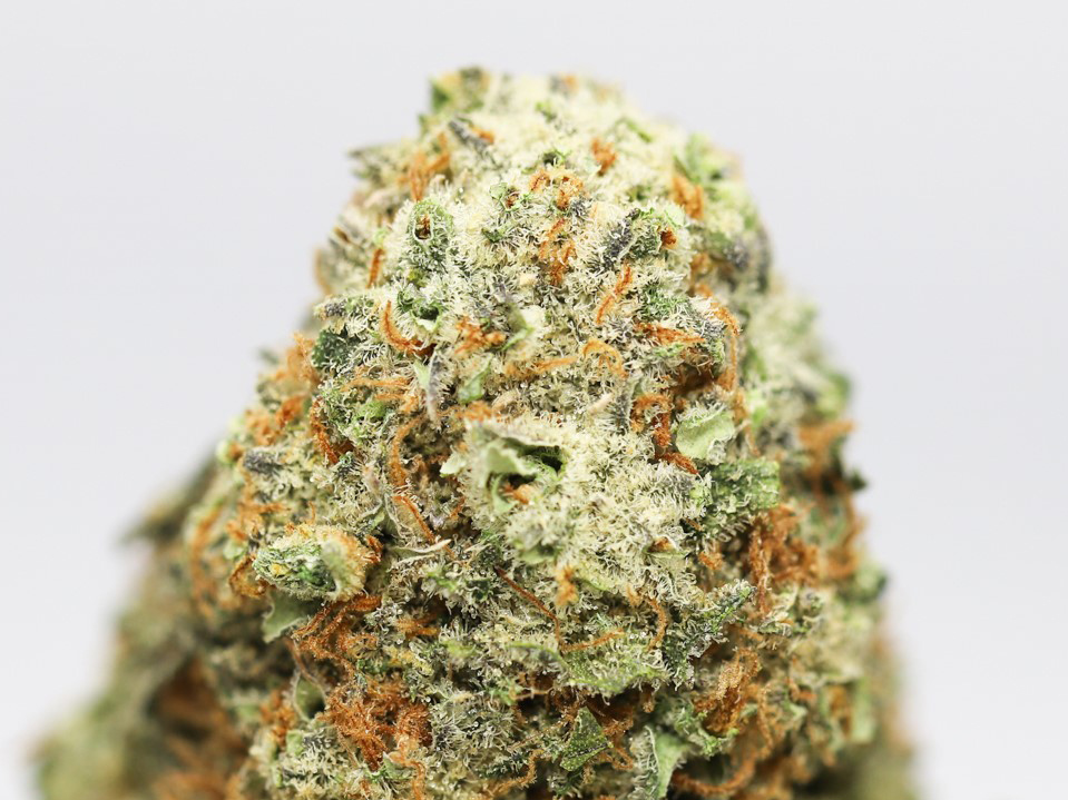 pineapple express close up.jpg pineapple express close up.jpg