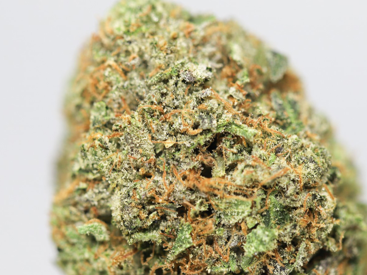 pink rockstar aa close up 3.jpg pink rockstar aa close up 3.jpg