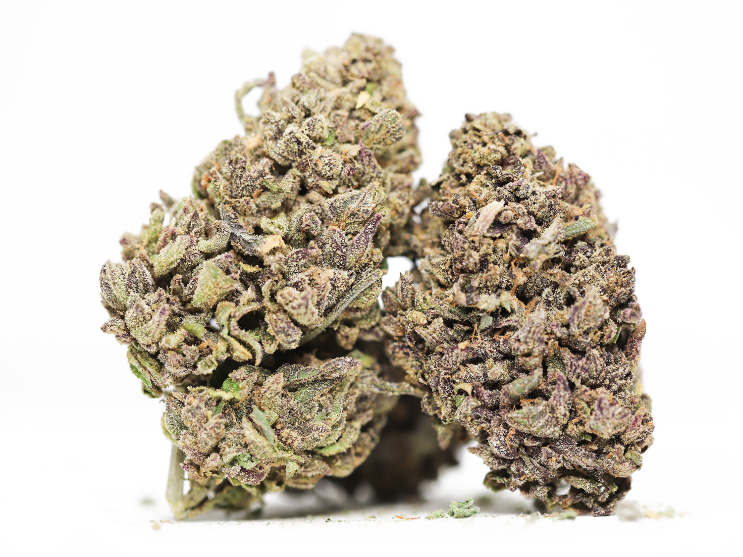purple champagne aa restock.jpg purple champagne aa restock.jpg