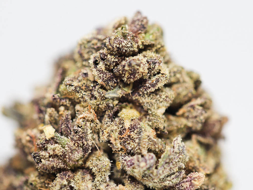 purple champagne close up.jpg purple champagne close up.jpg