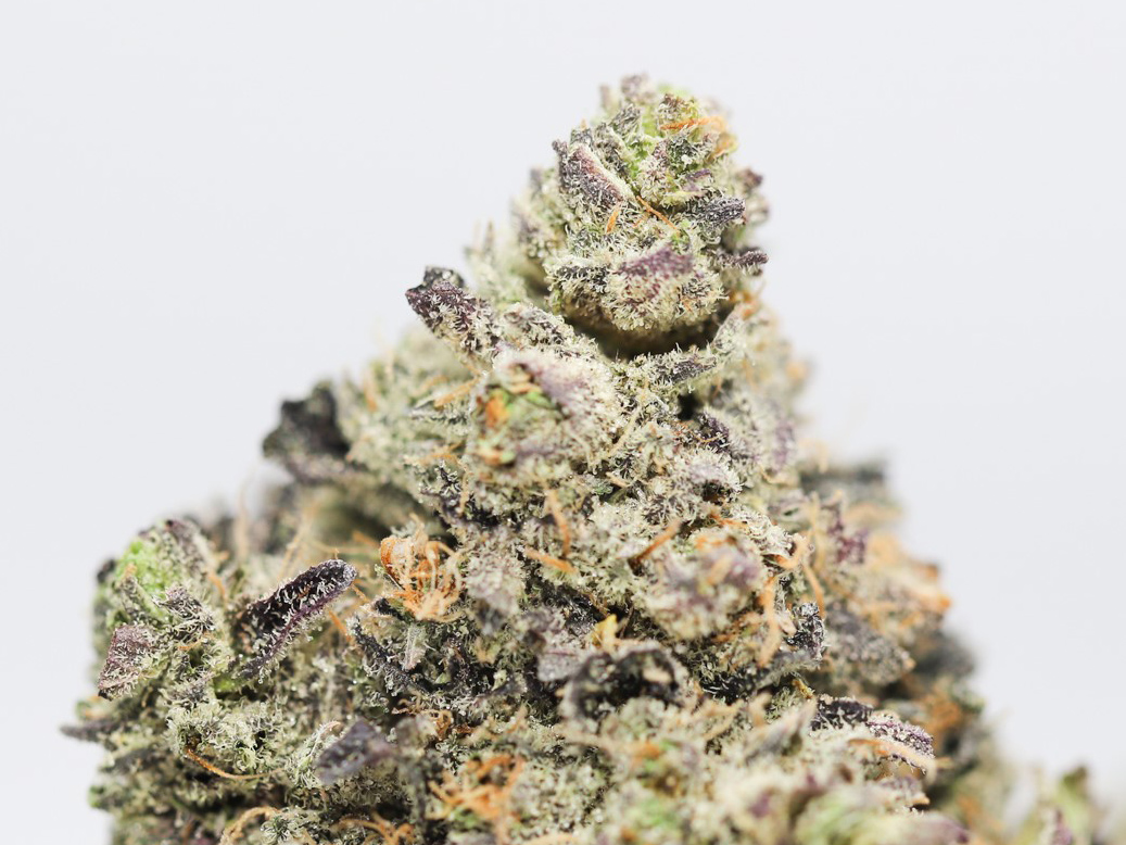 purple god close up.jpg purple god close up.jpg