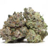 purple sour diesel aa restock.jpg