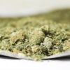 Sativa Shake 1 shake3.jpg