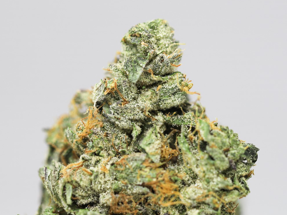shishkaberry close up.jpg shishkaberry close up.jpg