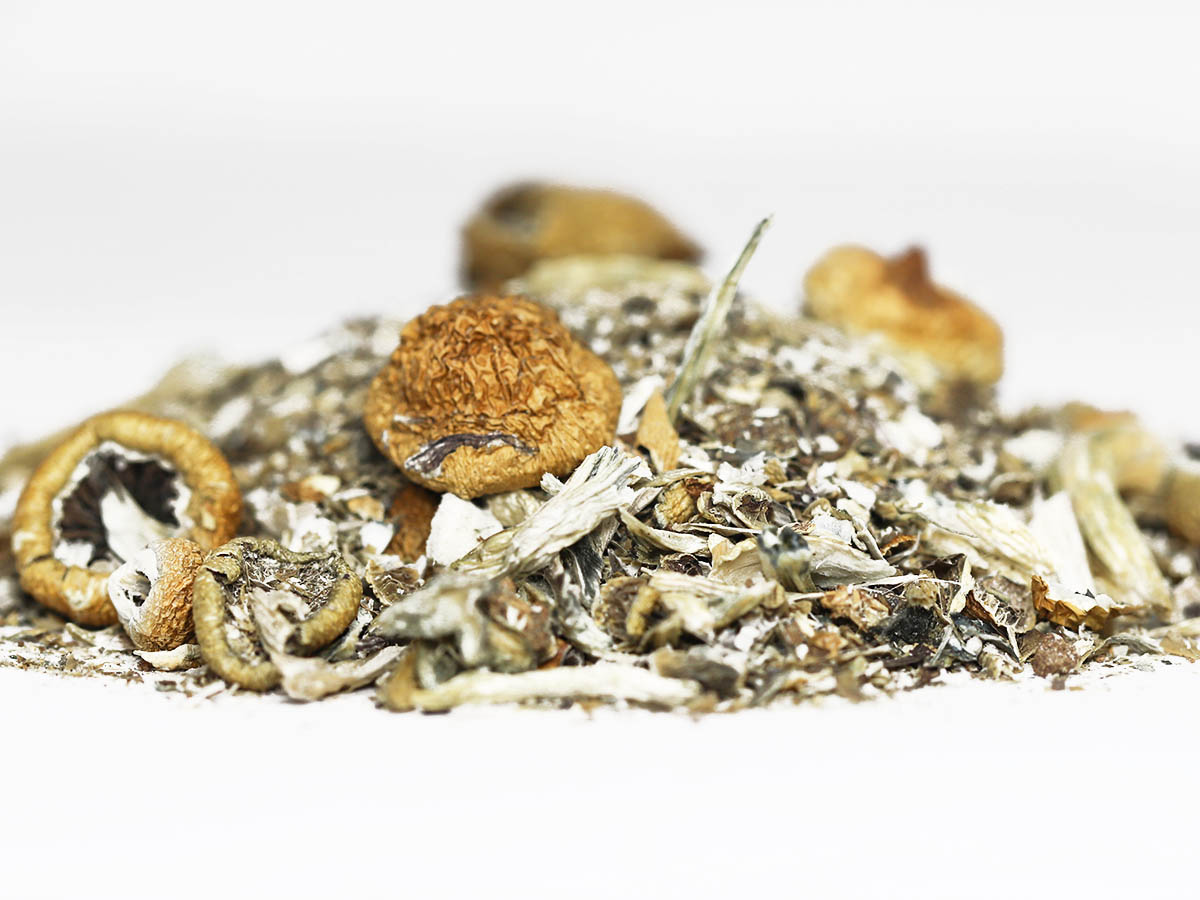 shroom shake.jpg shroom shake.jpg