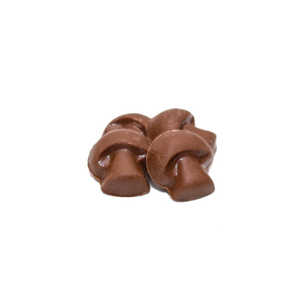 shroomies milk chocolate mushroom2.jpg shroomies milk chocolate mushroom2.jpg