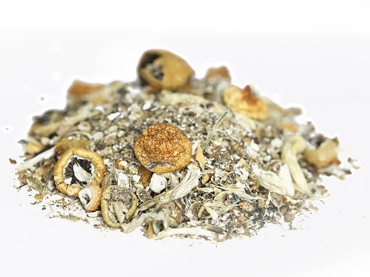 shroomshake1.jpg shroomshake1.jpg