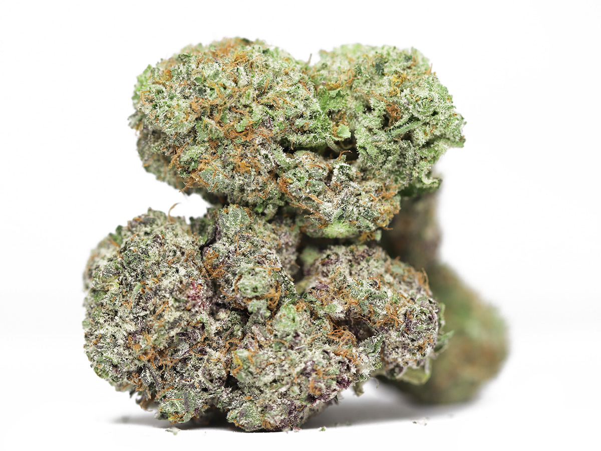 silver back gorilla kush aaa restock.jpg silver back gorilla kush aaa restock.jpg