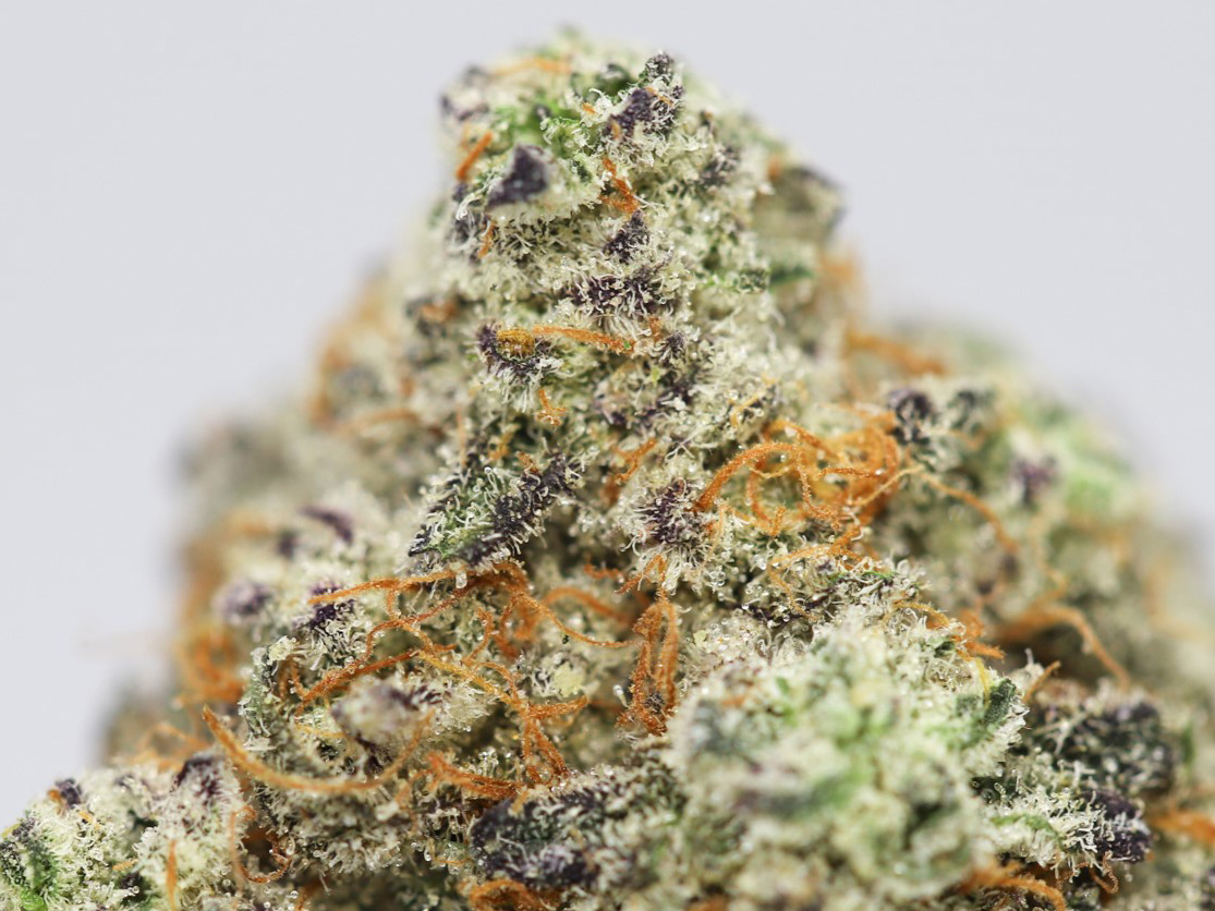 silver back gorilla kush aaaa close up 1.jpg silver back gorilla kush aaaa close up 1.jpg