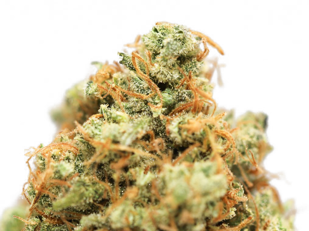 sour diesel close up 1.jpg sour diesel close up 1.jpg