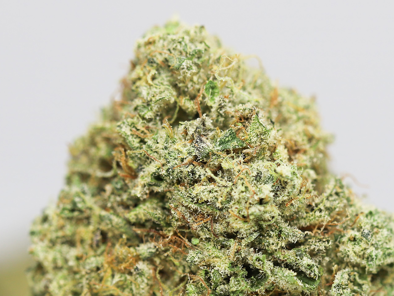 strawberry banana close up.jpg strawberry banana close up.jpg