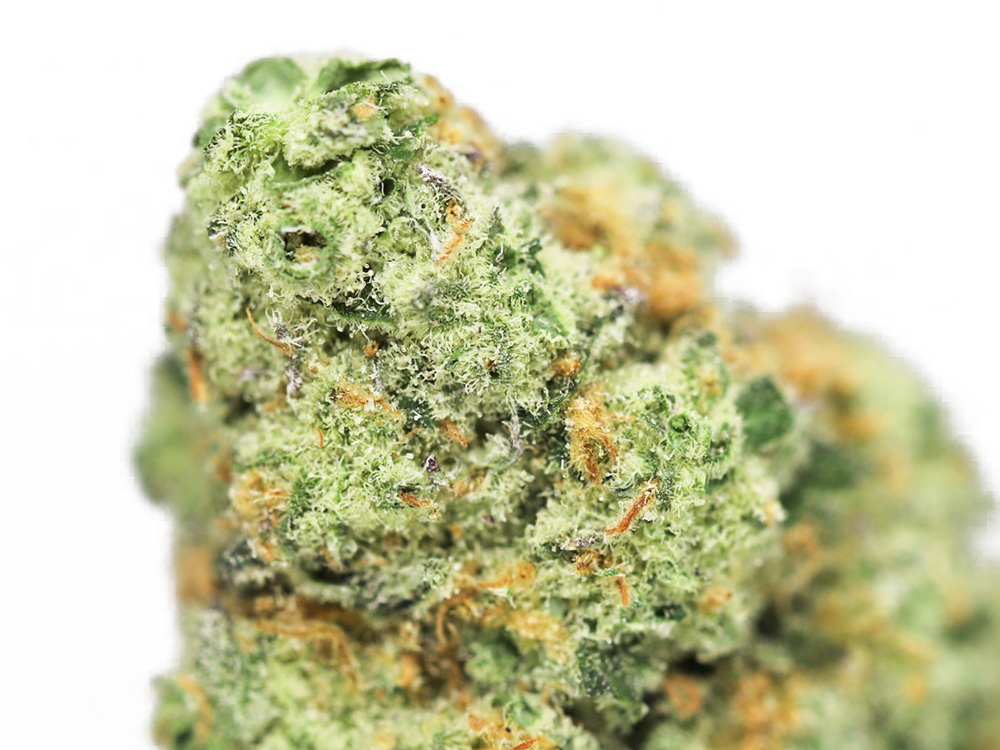 strawberry bubblegum close up.jpg strawberry bubblegum close up.jpg