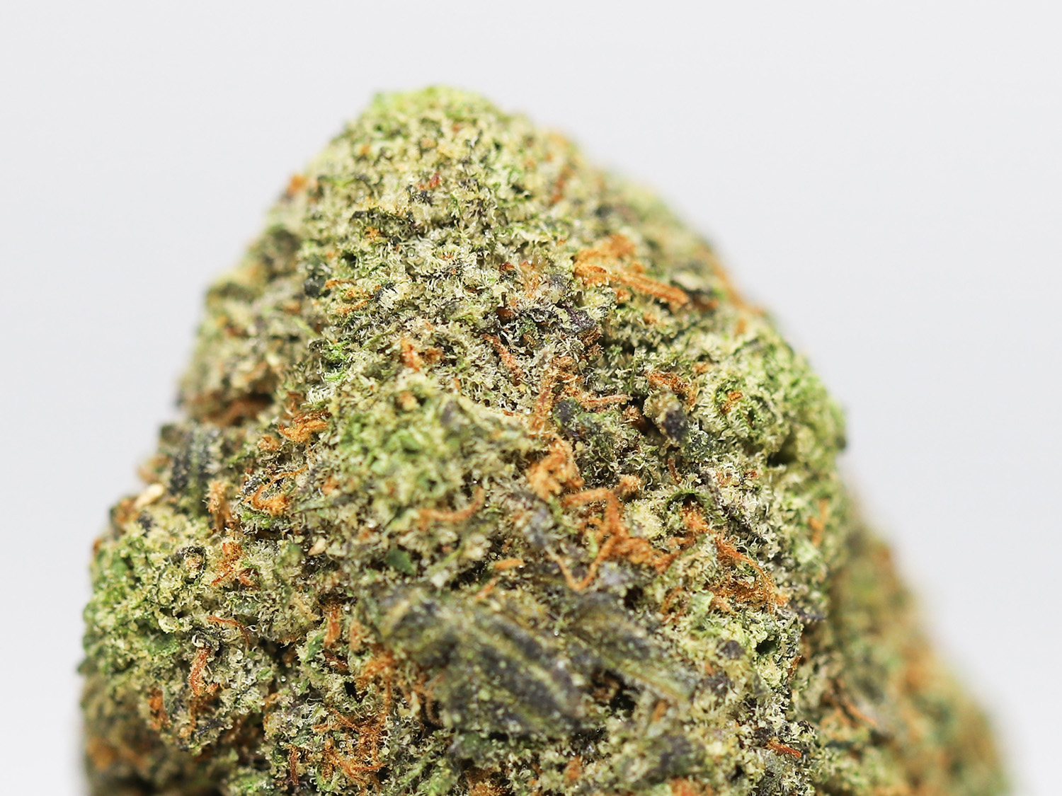 sugar shack close up.jpg sugar shack close up.jpg