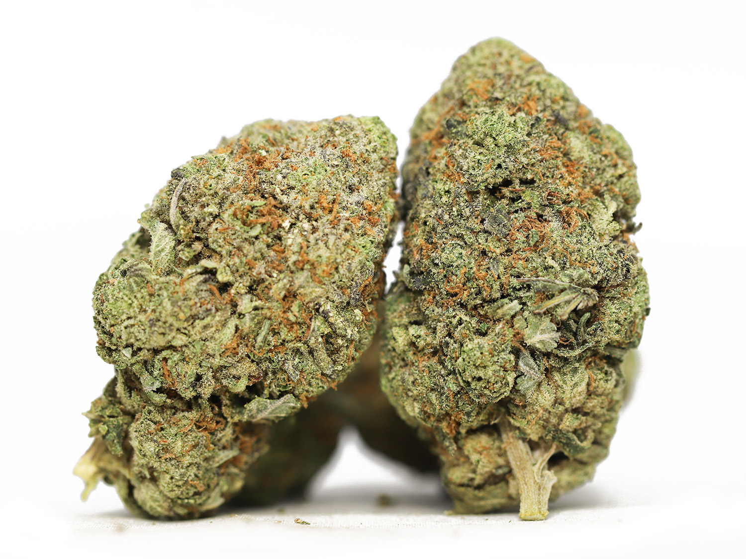 sugar shack oz budget ounce special 55.jpg sugar shack oz budget ounce special 55.jpg