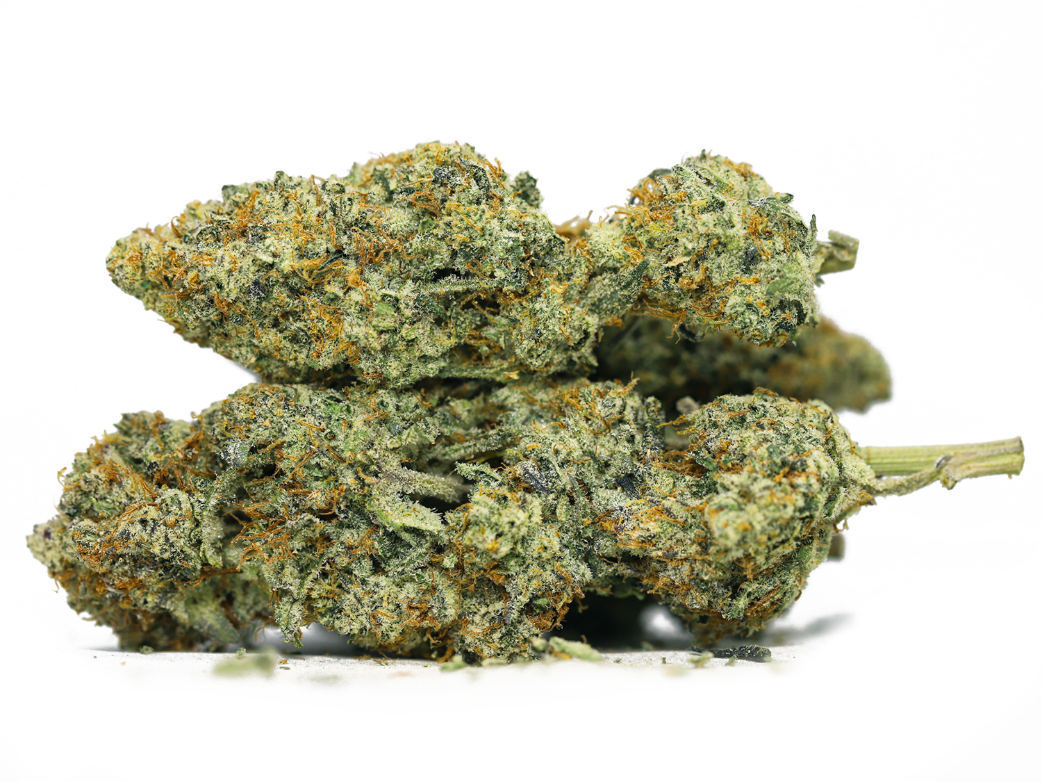 super sour orange AAAA.jpg super sour orange AAAA.jpg