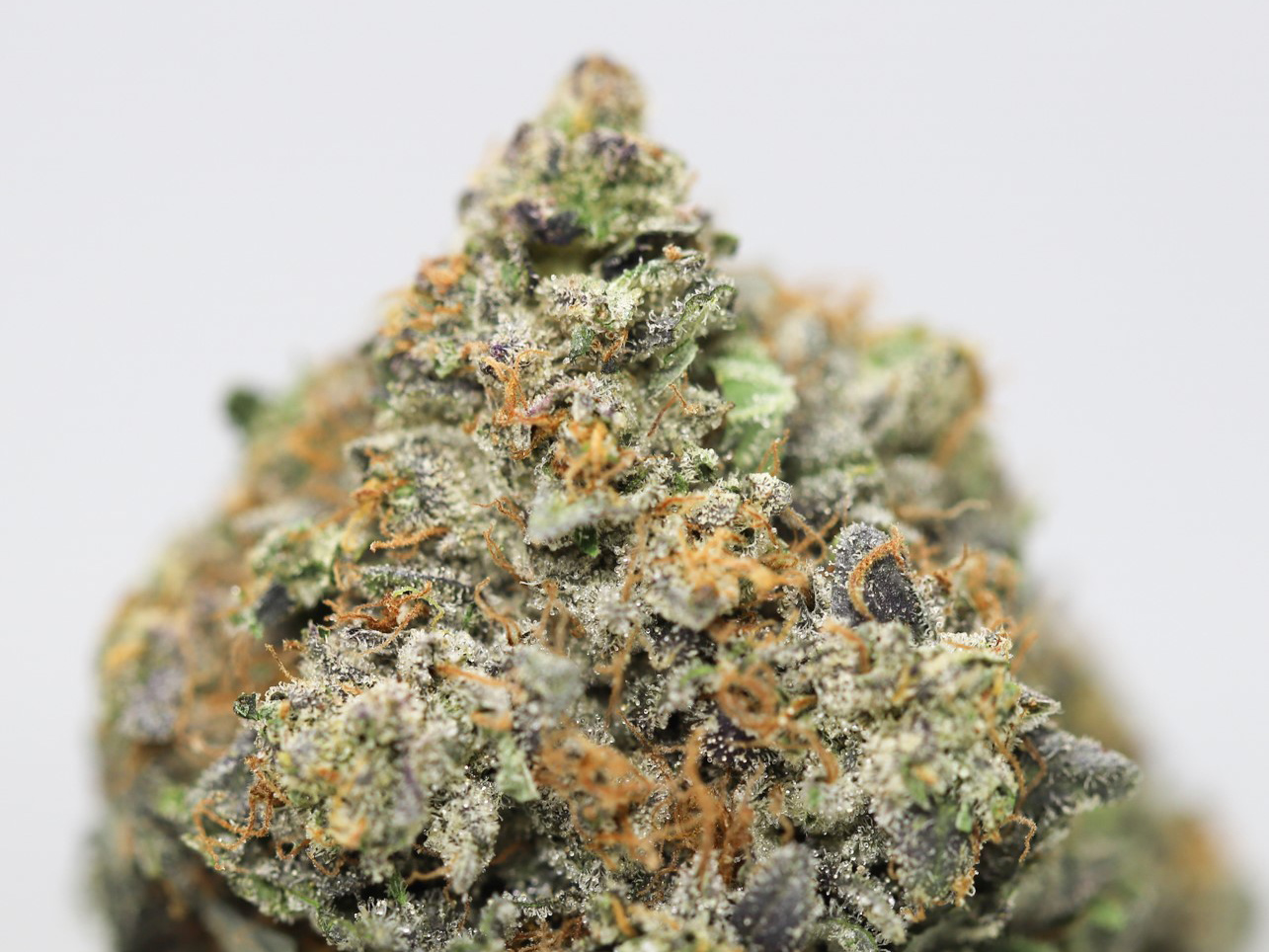 tom ford pink kush close up.jpg tom ford pink kush close up.jpg