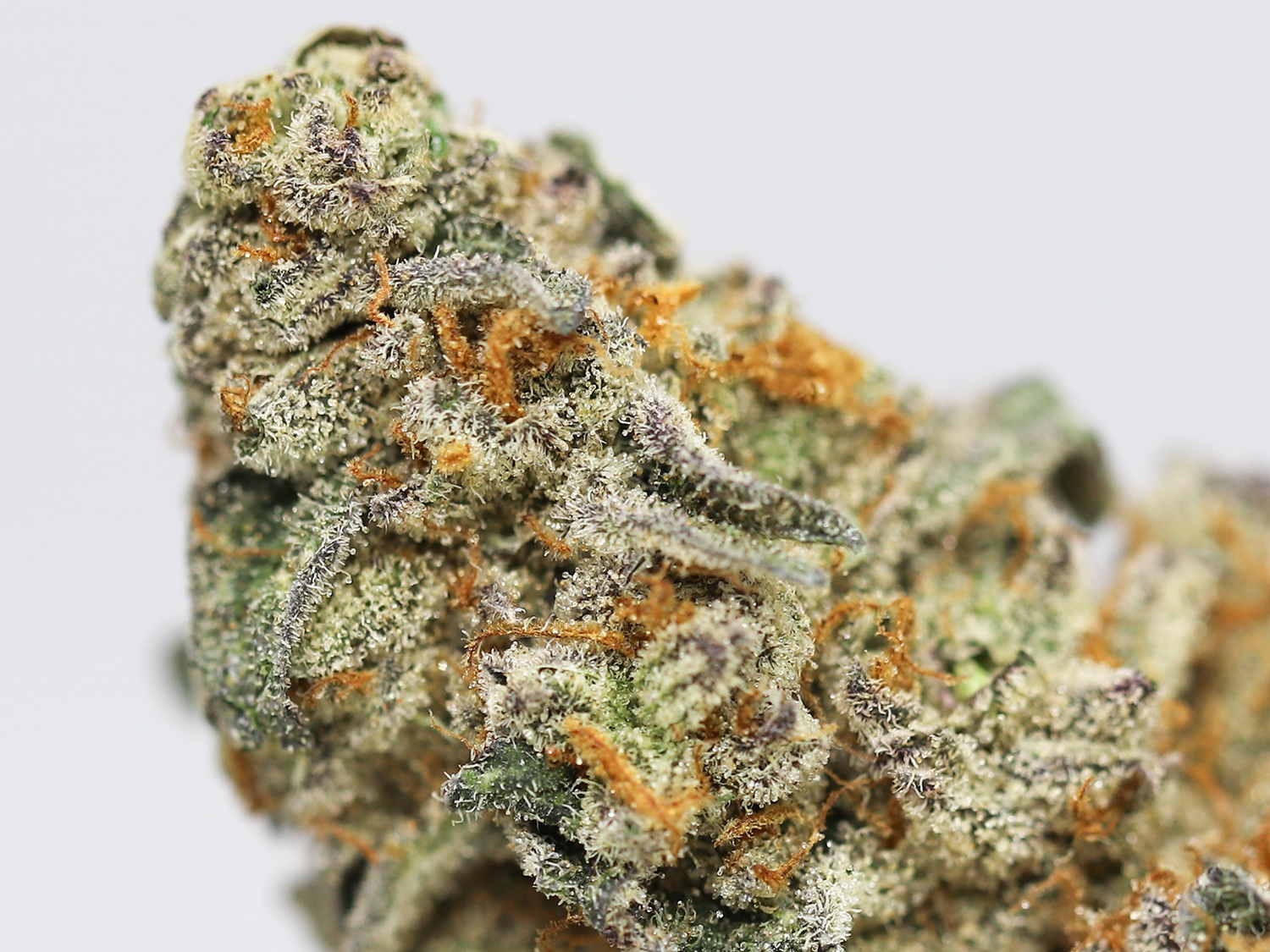 trainwreck close up.jpg trainwreck close up.jpg
