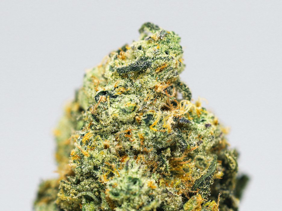 triangle mints close up 2.jpg triangle mints close up 2.jpg